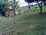 Preço de Limpeza de Terrenos no Jardim Brasil