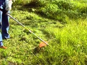 Empresa de Limpeza de Terrenos no Parque Vila Lobos