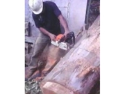 remoção de tronco em Morumbi 