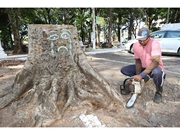 Contratar Arborização Interna na Cidade Ademar