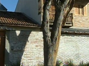 Corte de Árvores na Vila Granada